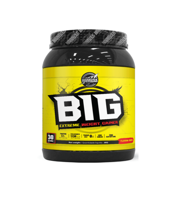 Big Extreme Weight Gainer 3kg Syner Nutrition
