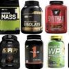 Protein Supplements