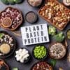 Plant Based Protein