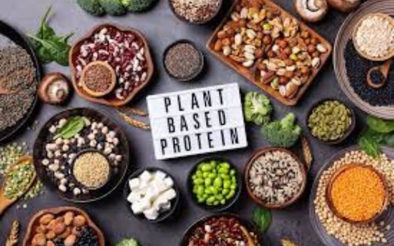 Plant Based Protein