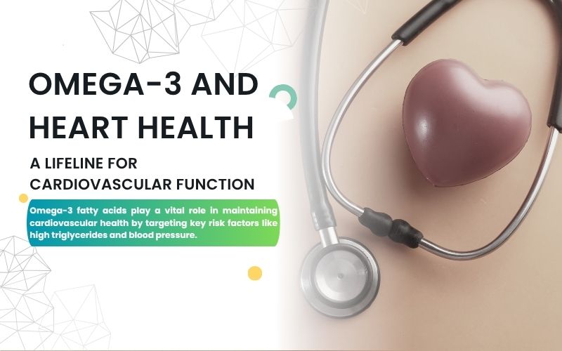 Omega 3 Benefits