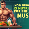 How Important Is Nutrition for Building Muscle